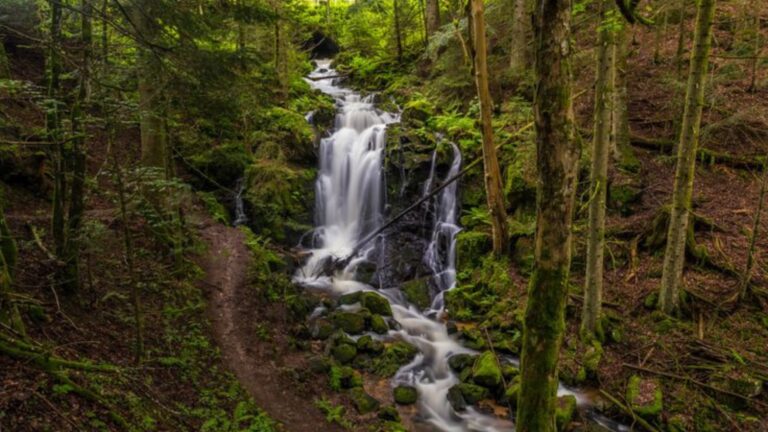 F8416967267697ed2a23e484acf90e83